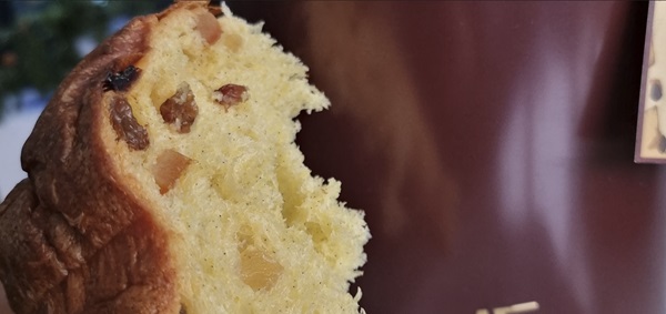 Fetta di panettone con primo piano dell'impasto con vaniglia, uvetta e canditi