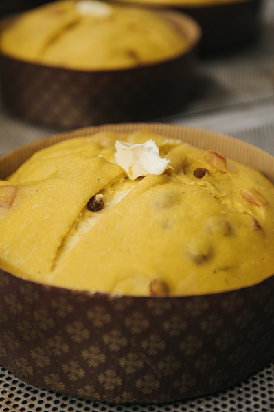 Panettone lievitato con noce di burro sulla superficie pronto per essere cotto