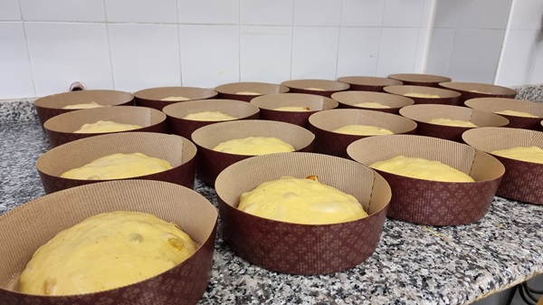 panettoni artigianali in pirottini pront per la lieviatzione