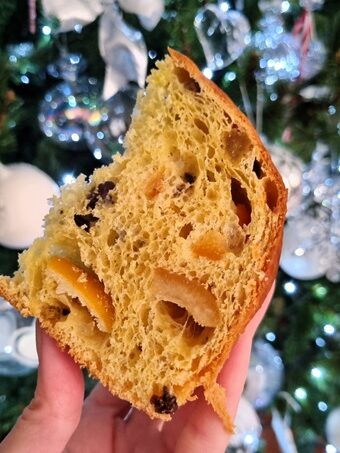 Fetta di panettone in mano e sullo sfondo albero di natale decorato