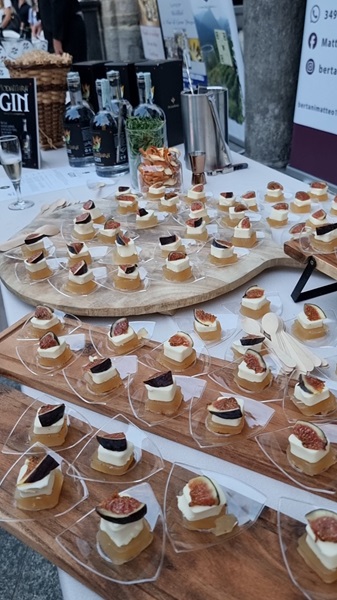 Piccole bavaresi al Bettelmatt, formaggio d'alpeggio, su tavolo e taglieri di legno per apertivo con gelé di fichi a domodossola per domosofia gourmet